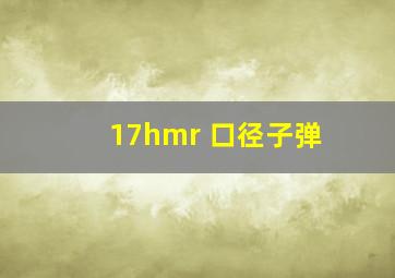 17hmr 口径子弹